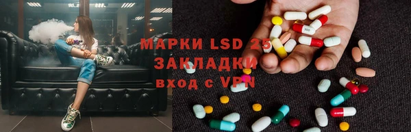 PSILOCYBIN Абаза