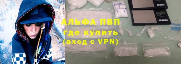 PSILOCYBIN Абаза