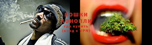 PSILOCYBIN Абаза