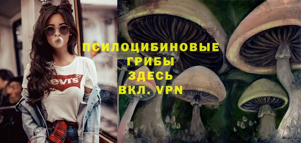 твердый Абдулино