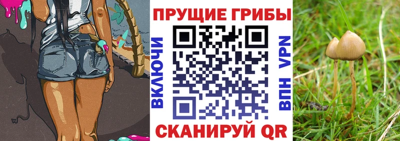 Псилоцибиновые грибы мицелий  наркошоп  Барнаул 