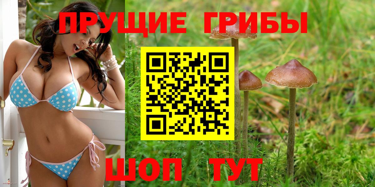 Псилоцибиновые грибы Psilocybine cubensis  Вход с VPN  Барнаул 