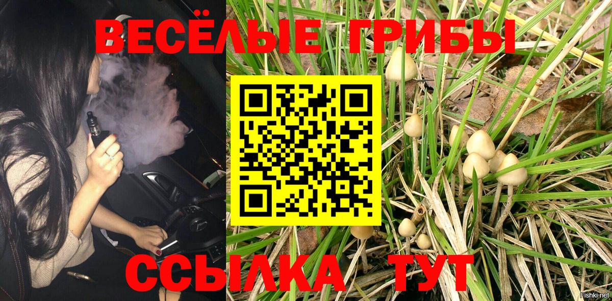 Псилоцибиновые грибы Psilocybe Барнаул